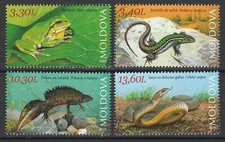 Moldavia 2023 Rettili, Serpente, Rana, Tritone 4 francobolli MNH