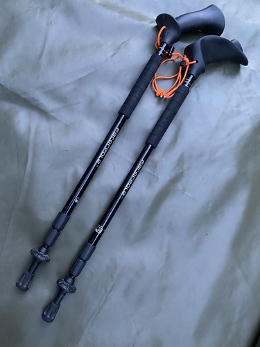 Pacerpole dual lock - lock,