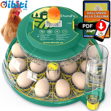 DX5® | Professionale