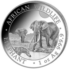 Somalia 2026 elefante - ,
