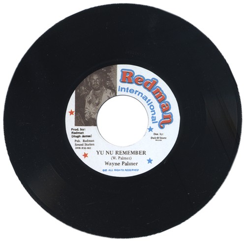 Wayne palmer nu remember - ,