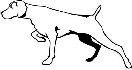 Adesivo weimaraner - weimaraner,
