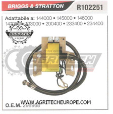 298968 BOBINA ELETTRONICA