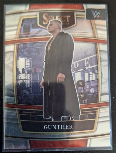 Panini select wwe - wwe, 2022