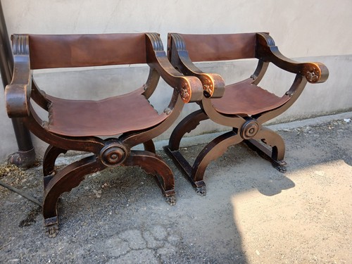 Coppia sedie dantesche noce - dantesche,