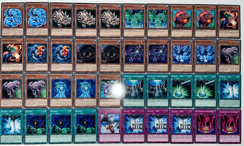 Deck drago acquatico - drago,
