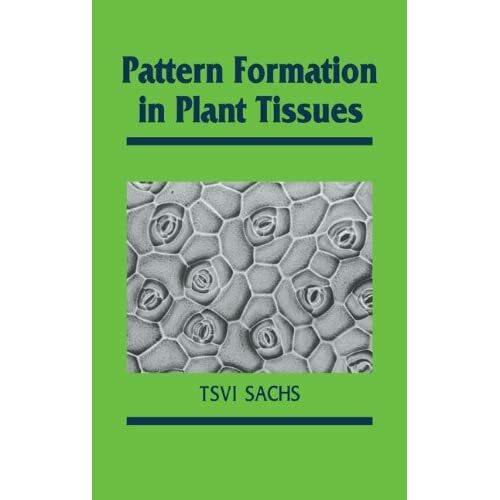 Pattern formation plant - pattern,