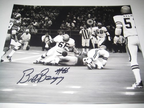 Cin bengals phil - &, eagles