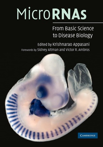 Micrornas from basic - basic, science