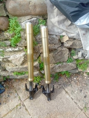 Forcelle anteriori triumph - forcelle,
