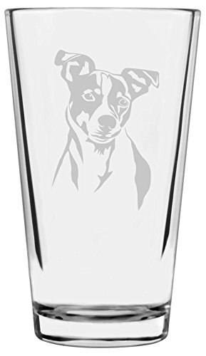 Jack russell terrier cane - russell,