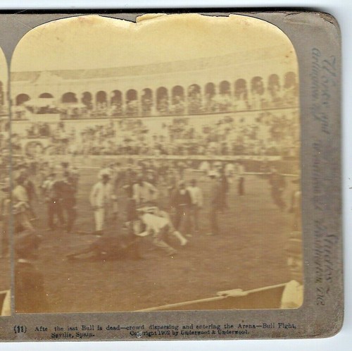 1902 last bull dead crowds - bull, dead,