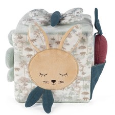 CUBO QUADROTTO ATTIVITA' DEL