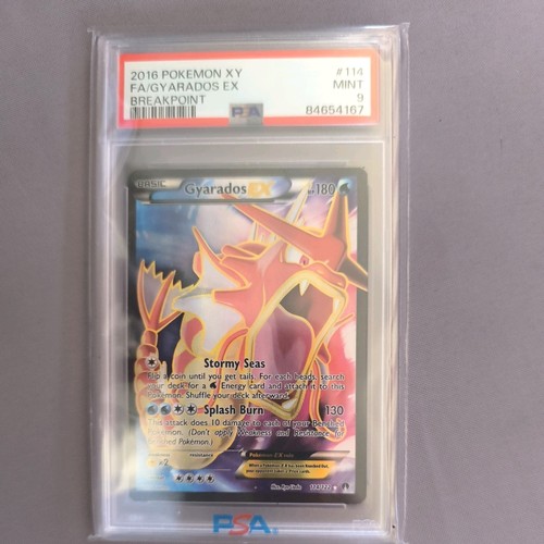 2016 pokemon breakpoint - pokemon,