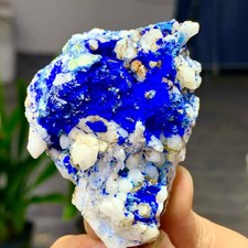 136G MIGLIORI esemplari di