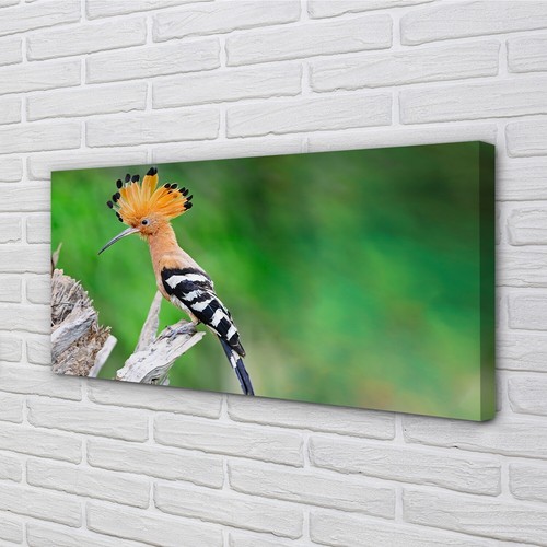 Quadro tela tulup 140x70 - tela,