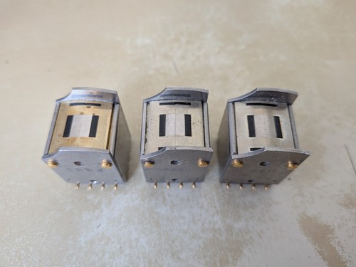 Nagra testina testa di - nagra,