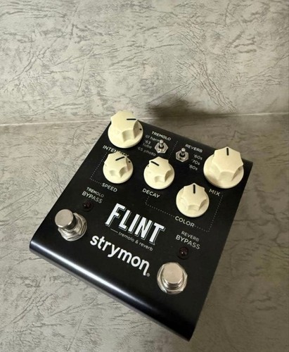 Strymon flint - strymon,