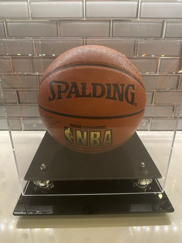 👀🌴🏀🔥Pallacanestro