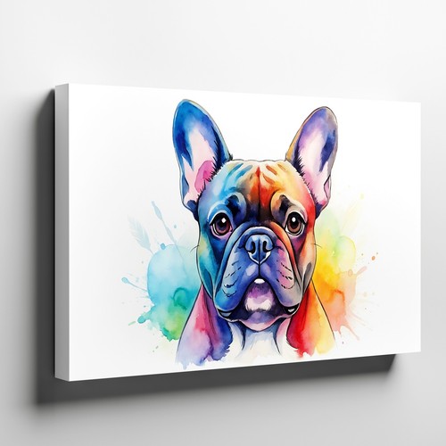 Bulldog francese colorato tela