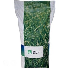 SEMENZA TAPPETO ERBOSO PRATO