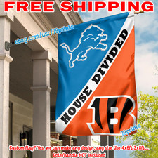 Detroit Lions vs Cincinnati