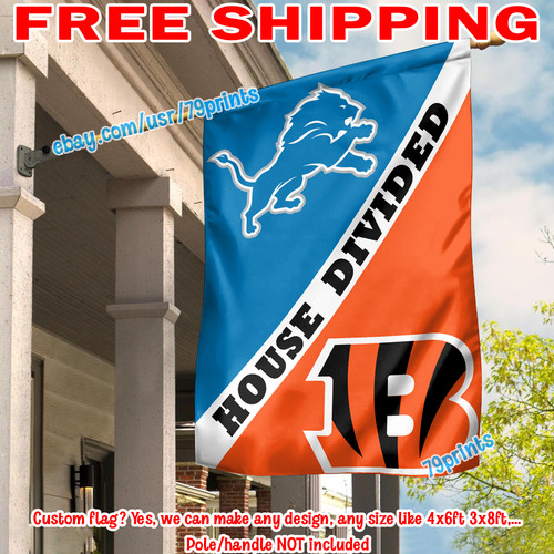 Bandiera divisa detroit lions - bandiera,
