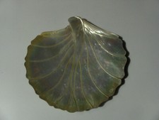 MADREPERLA CONCHIGLIA INCISA TENUTA IN ESPOSIZIONE BOTTONIFICIO USATA VEDI FOTO