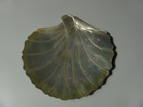 Madreperla conchiglia incisa - madreperla,