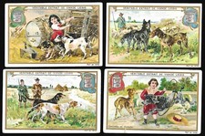Liebig Trade Cards Dog Breeds