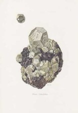Pyrite Zolfo Giallo Stampa Del