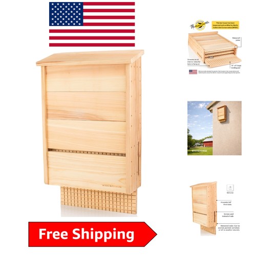 Chamber cedar bat - bat, –