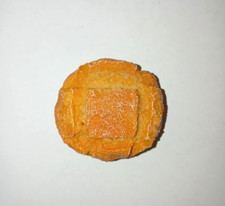 Calamite frigo magnete da