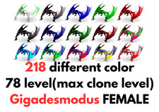 Gigadesmodus Femmina 78