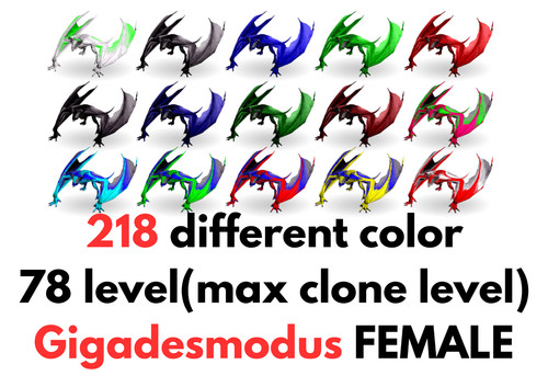 Gigadesmodus femmina - femmina, 78