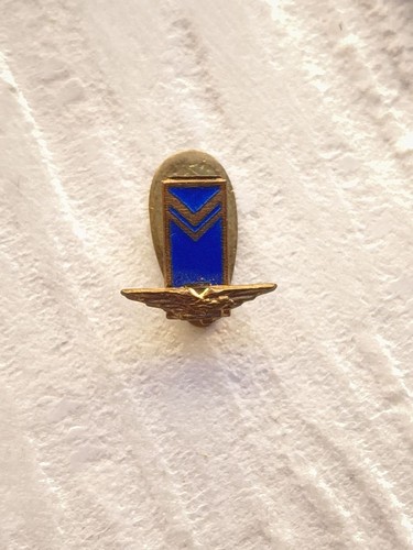 Distintivo pilota aeronautica - distintivo,