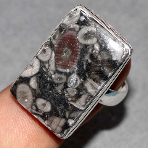 Anello fossile crinoide