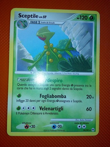 Pokemon card sceptile - pokemon,
