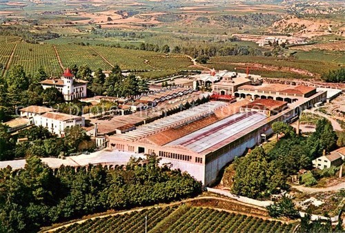 Cavas codorniu exteriores - cavas,
