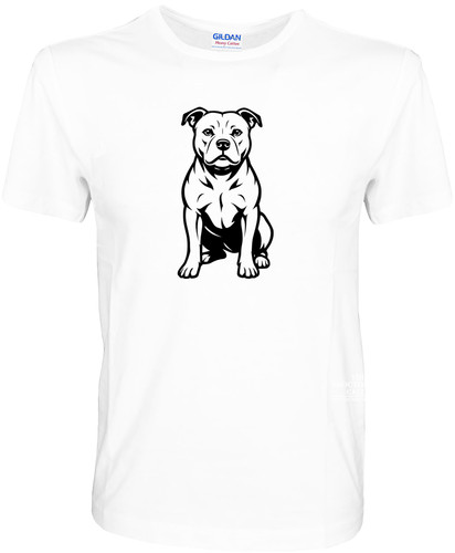 Staffordshire bull terrier - staffordshire,