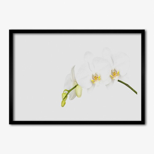 Arte parete con cornice - da,