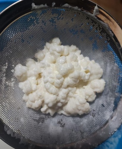 Grammi kefir latte - 20,