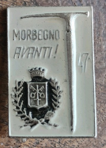 Distintivo alpini morbegno - alpini,