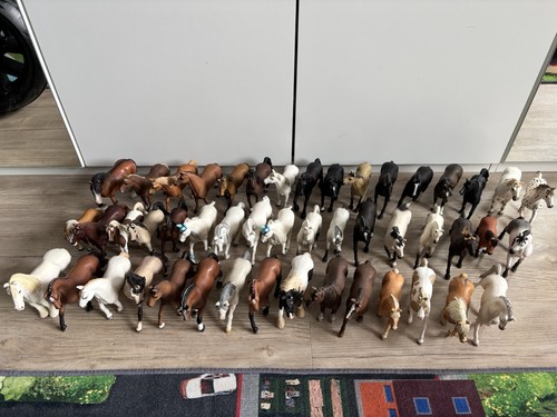 Cavalli puledri nella - e,