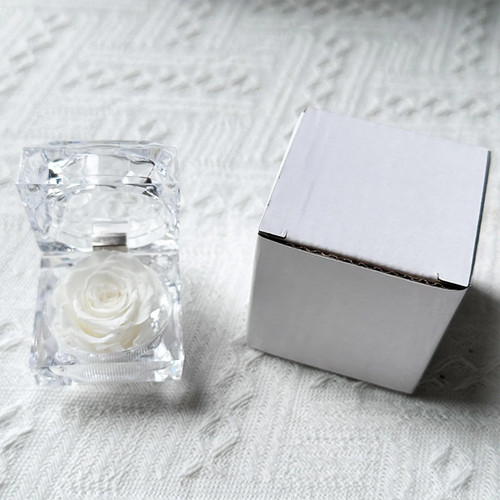 Rose forever conservate - rose,