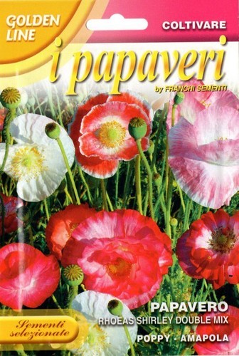 300 semi seeds - semi/seeds, rhoeas