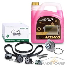 KIT CINGHIA DENTATA ININA PER