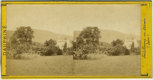 Stereoscopio michaud vers 1870 - stereoscopio,