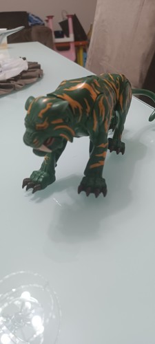 Man motu masters - man, of