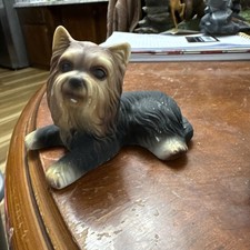 Yorkshire Terrier Yorkie Dog